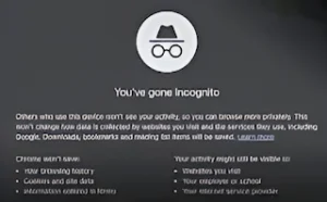 Even in Incognito Mode, Your History is not…